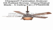 Fanimation Andover: Oil-Rubbed Bronze, Cherry/Walnut Blade - 5 Ceiling Fan | FP5220OB Review