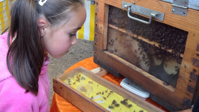 Fête du miel et des confitures