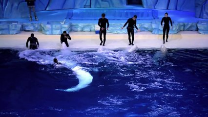 China fishes for growth with world's largest aquarium