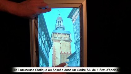 Feuille Lumineuse Statique ou Animée dans un Cadre Alu par LumiereFroide.com