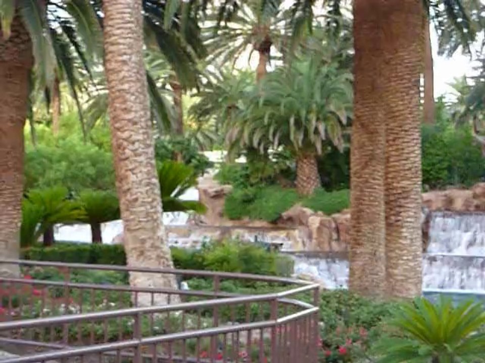 Mirage Hotel in Las Vegas by Ron Robey