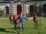 Eloy de Bresneau ( Nouma d'Auzay ) 2° jour des championnats de France des Foals