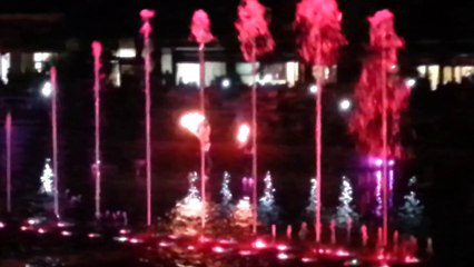 FUENTE CIBERNETICA    PARQUESUR DIA 16-08-204