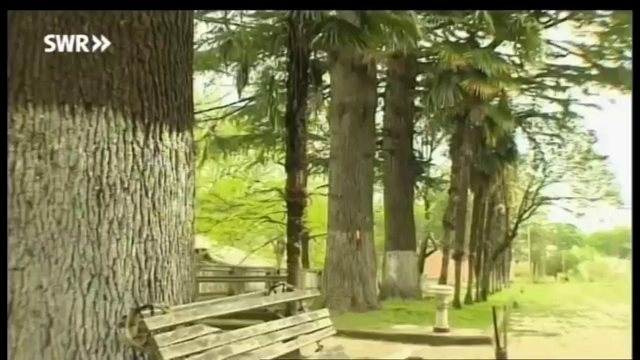 Eisenbahn Romantik - Kaukasisches Bahnabenteuer - Mit sowjetischen Lok-Veteranen durch Georgien