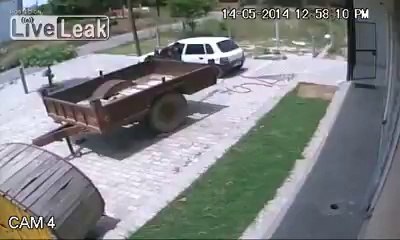 Thieves use a decoy car to steal a cow in India