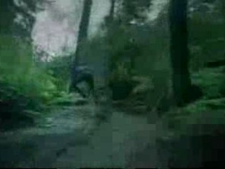 pub Lance Armstrong pour nike !!!