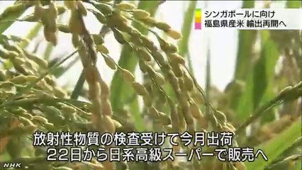 20140818福島県産米 今月シンガポールに輸出再開