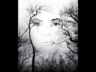 Vahid Vaha -  Sto je tuzna breta ta