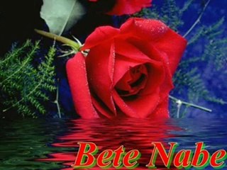 OkeyAzram.Net-Semyan Adar  Bete Nabe-, Okey Azram, OkeyAzram.com..