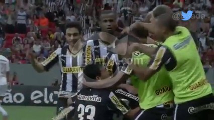 Botafogo RJ 2-0 Fluminense بتاريخ 17/08/2014 - 22:30