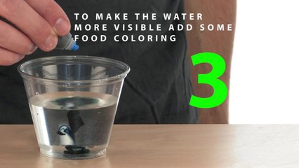 Traveling Water - Sick Science! #026