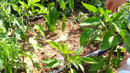 Irrigation Principles Part 2