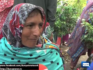 Dunya news-Women participate in Pakistan Awami Tehreek's sit-in with their babies