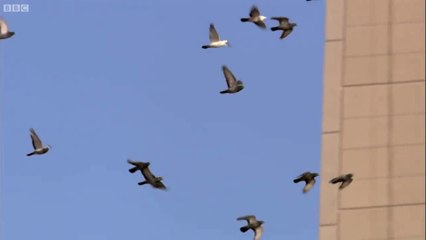 신천지바카라주소ㄴ㉸┰┰㉸ㄴㅗａｃｅ９８９.ｃｏｍㅗㄴ㉸┰┰㉸ㄴ신천지바카라주소