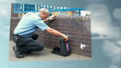 Household Pest Control Services in London