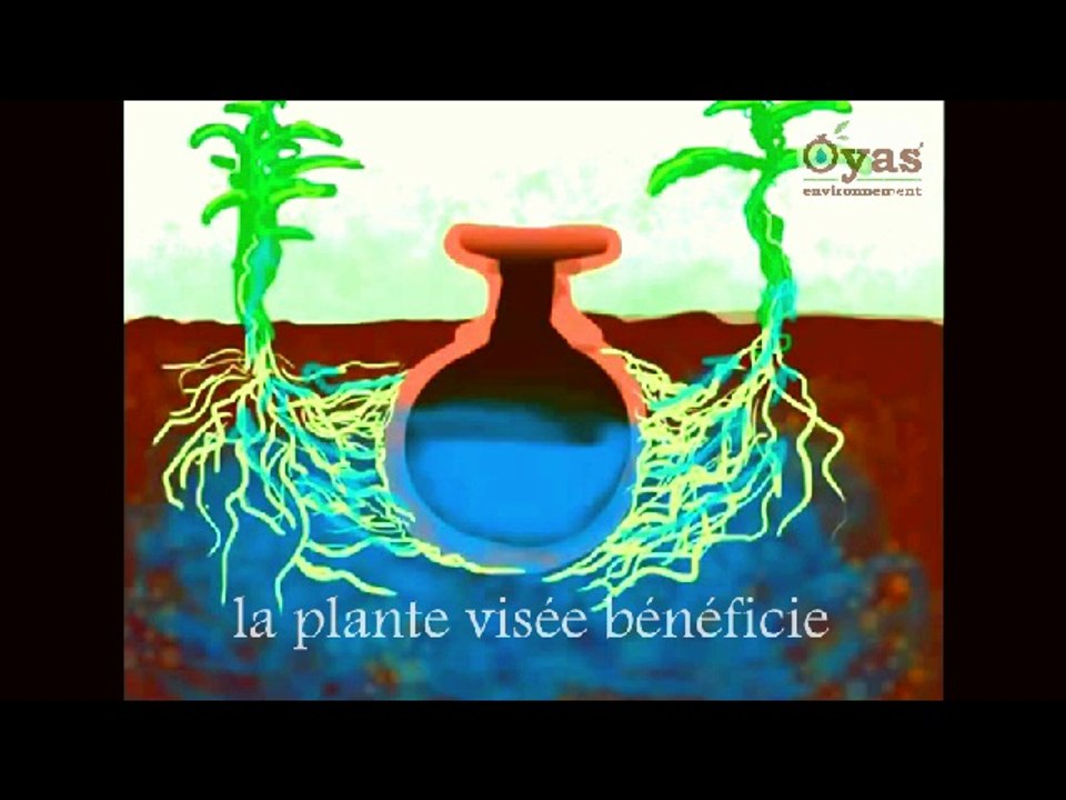 Les Oyas