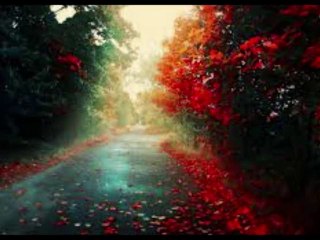 "Badla dina mone pore"....Bangla song 2014....Habib Wahid