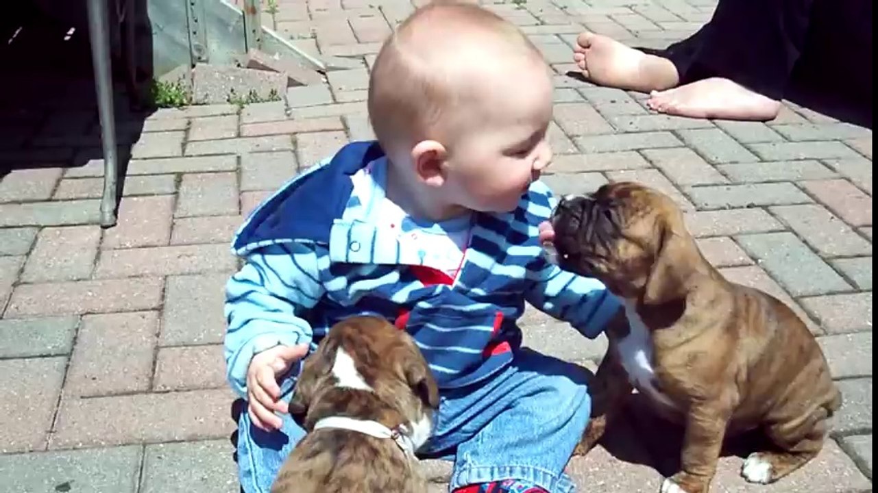 Boxerwelpen und ein Baby die kuscheln - wegschmeiss.de