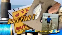 California Surf Fishing