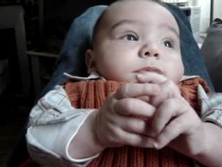 ferdinand sur les genoux