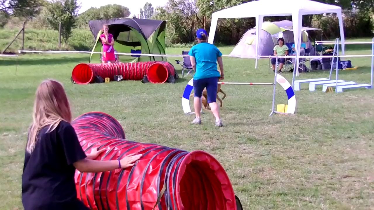 Nitra Agility Kiara run 05 august 2014
