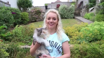 El gato más triste del mundo