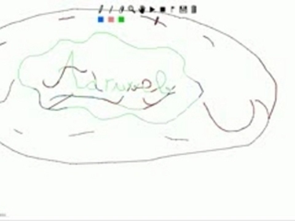 adriweb with Linerider