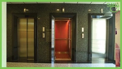 Asansörde Sıçan Kadın