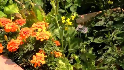 GM Renaissance Center Now Composts Food Scraps