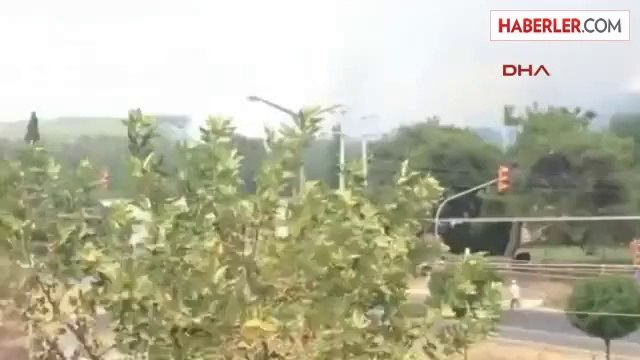 İzmir Torbalı? da Orman Yangını
