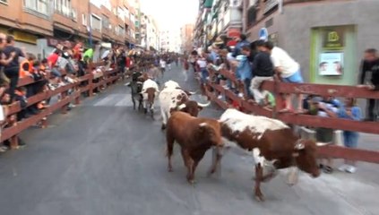 SEGUNDO ENCIERRO FIESTAS DE LEGANÉS 2014
