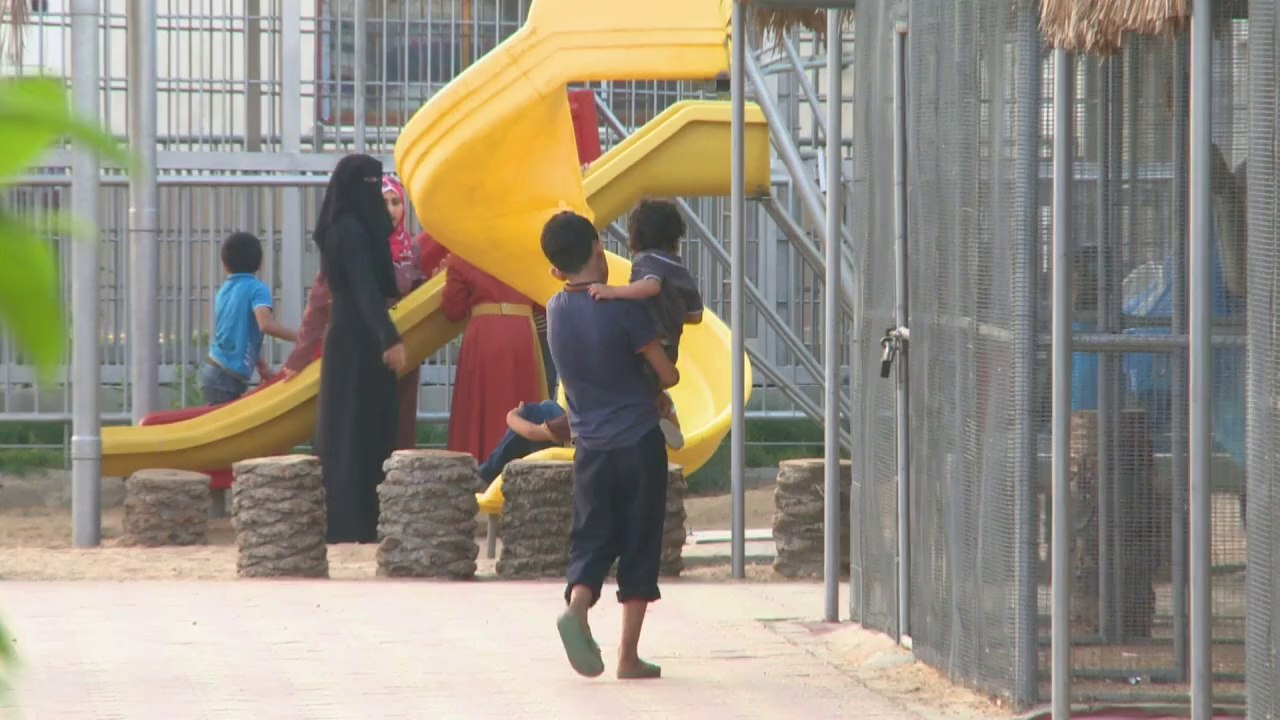 Tod im Käfig: Auch Zootiere Opfer des Gaza-Konflikts