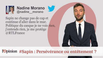 #tweetclash : #Sapin : persévérance ou entêtement ?
