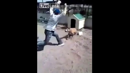 Köpekle Dalga Geçen Adamın Sonu Videosu - senpaylas.com