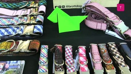 Dizaina DiseÃ±adores Independientes