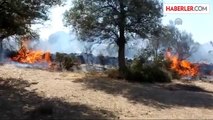 Ezine'de tarım arazisi yangını -
