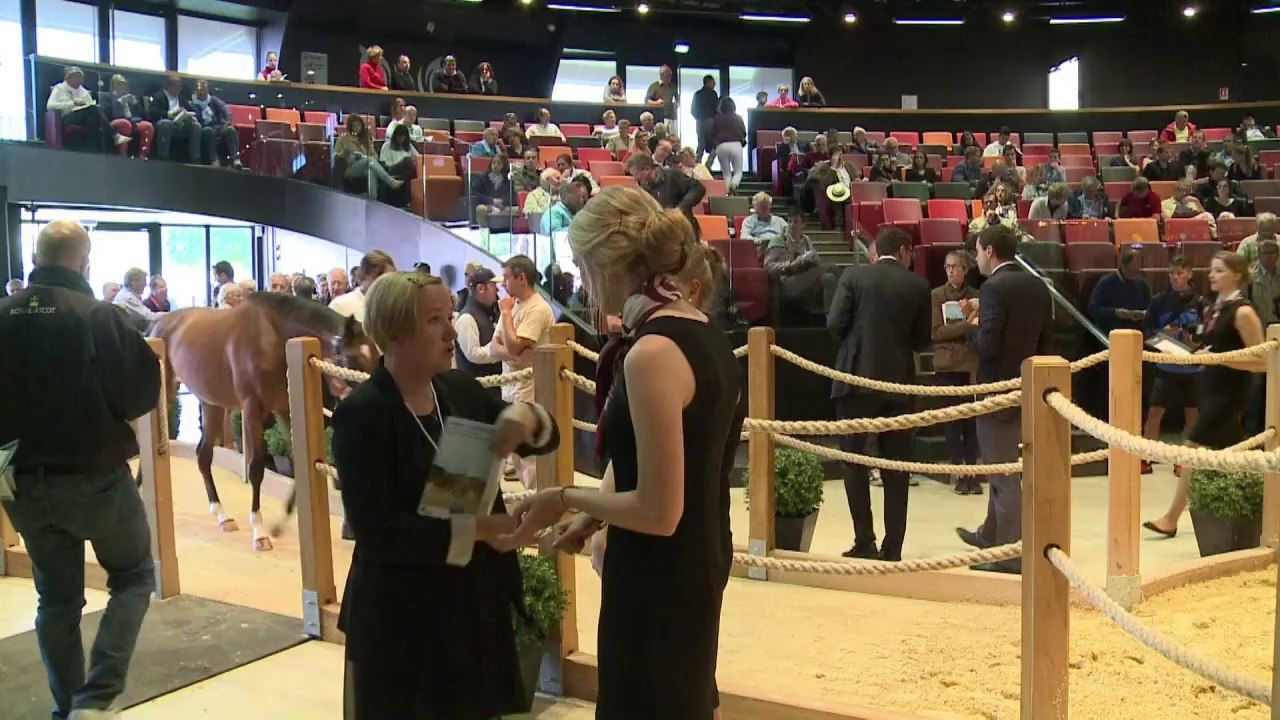 Les ventes de futurs chevaux de courses en hausse à Deauville
