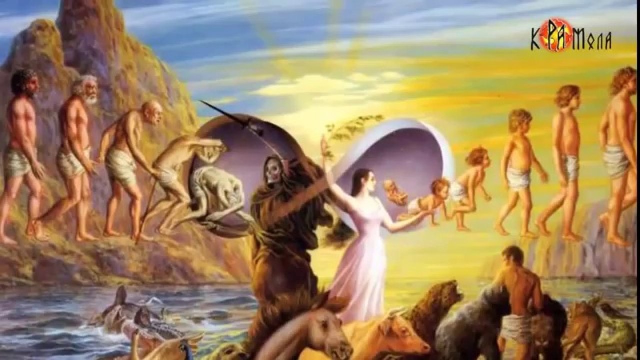 Что происходит с организмом после употребления наркотиков