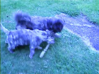 Jaudy et Chanel en forme à 19h