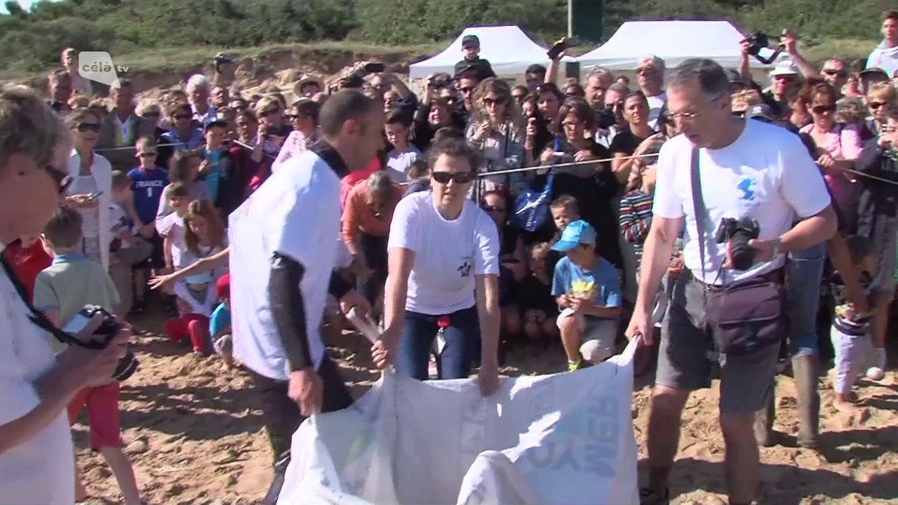 LE JT - Edition du 18/08/14
