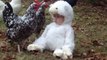 Adorable Baby Dressed as Lamb Confuses Chickens