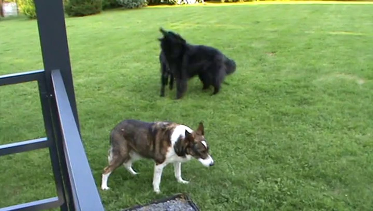 Papy Flash part à l'aventure ..... mais pas trop loin !!!