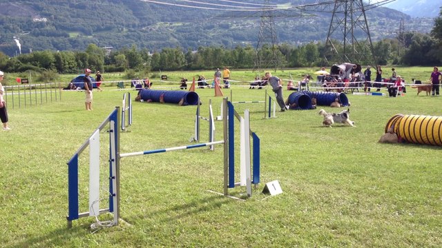 Jumping Pepsi Bex 2014