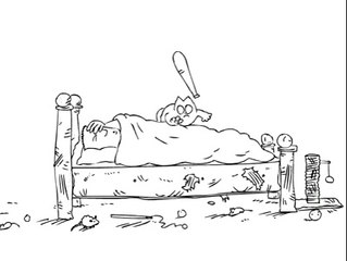 How should your pet cat awake you .. if you sleep late in morning