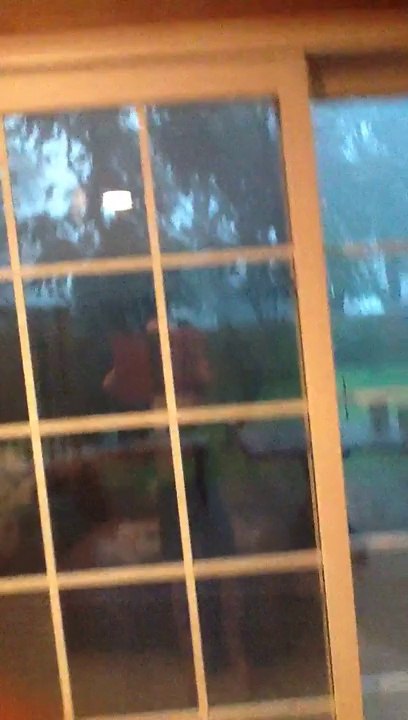storm in fairfax
