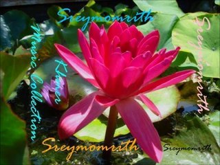 Khmer Music Collection (3)