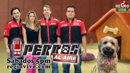 FRAGMENTOS DEL MIEDO 14 DE AGOSTO DEL 2014