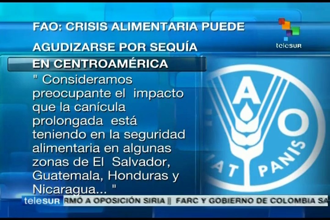 FAO advierte que crisis alimentaria en Centroamérica podría agudizarse
