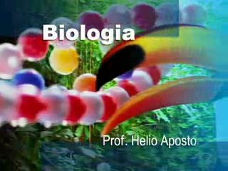 BIOLOGIA CITOPLASMA E SUAS ORGANELAS