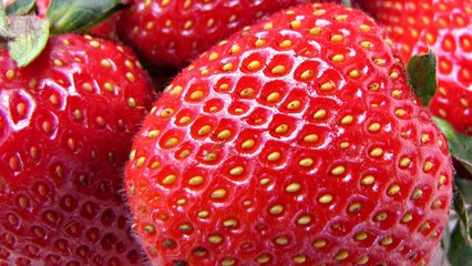 Quran in English - Chapter 86 - ClearQuran